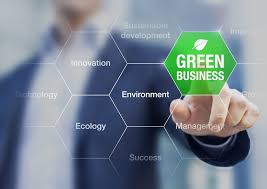 Sustainable Business Practices: Going Green This Summer